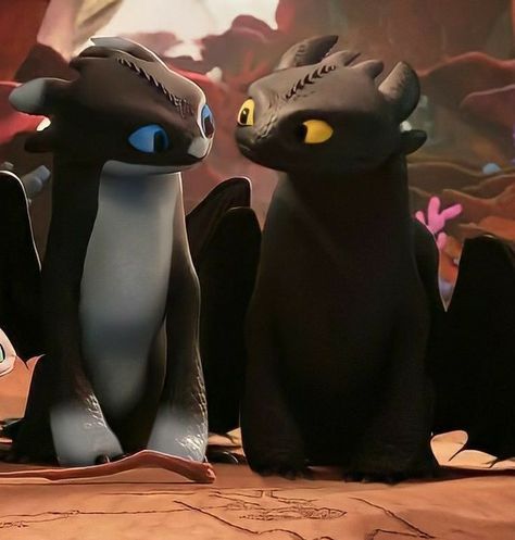 Dart Httyd, Fury Family, Night Light Fury, Kawaii Cat Drawing, Httyd Oc, Httyd Art, Toothless Dragon, Wings Of Fire Dragons, Train Dragon