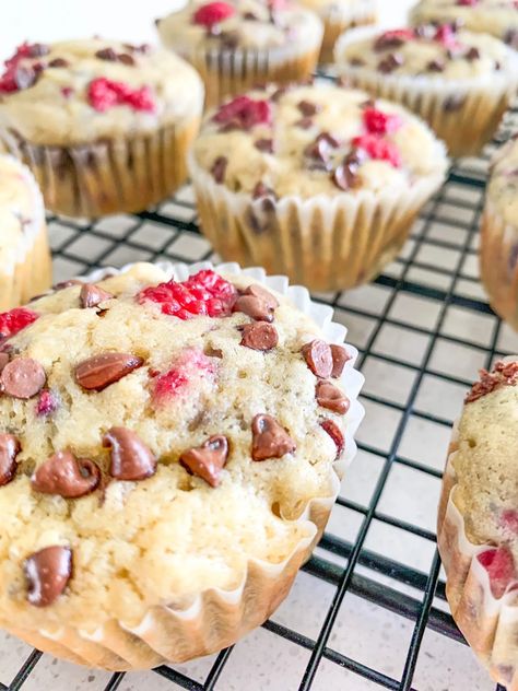 Raspberry Sourdough, Sourdough Raspberry, Sourdough Desserts, Freeze Muffins, Muffins With Chocolate Chips, Muffins With Chocolate, Sourdough Muffins, Simple Sourdough, Raspberry Muffins