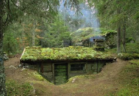 Case Sotterranee, Sod Roof, Underground Houses, Primitive Houses, Casa Hobbit, Earth Sheltered Homes, Underground Shelter, Earth Sheltered, Underground Homes