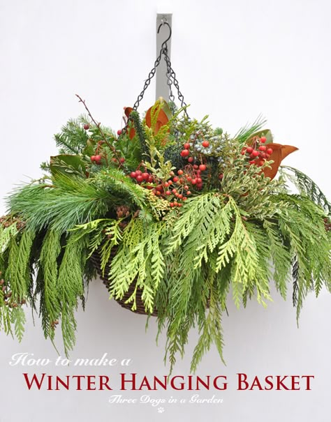 Winter Baskets, Winter Hanging Baskets, Christmas Hanging Baskets, Winter Pots, Winter Balcony, Plastic Hanging Baskets, Porch Pots, Winter Planters, Christmas Outdoors