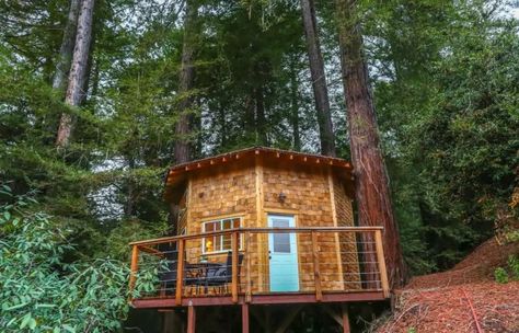 Front Doors Colors, Doors Colors, Beautiful Home Exterior, Luxury Tree Houses, North California, State Park Cabins, California Bucket List, Money Manifest, Long Weekend Getaways