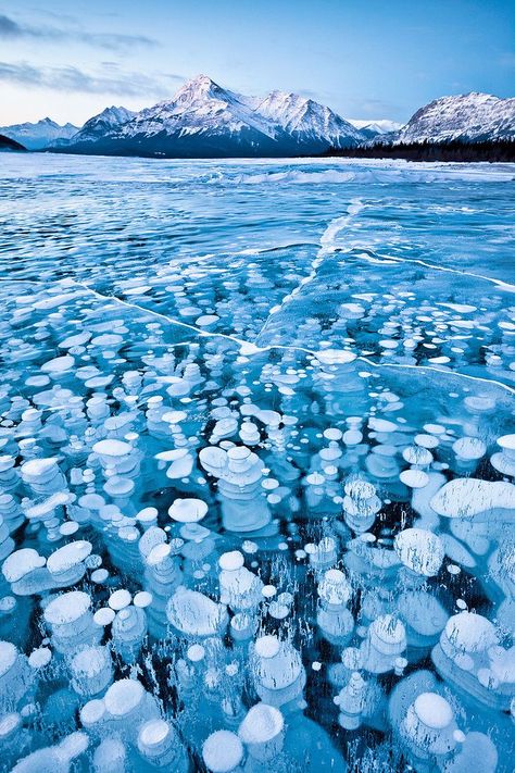 Flammable ice bubbles : frozen bubbles of methane, trapped beneath Alberta's Lake Abraham. Canadian Lakes, National Geographic Photo Contest, Frozen Bubbles, Abraham Lake, Frozen Lake, National Geographic Photos, Natural Phenomena, Alam Yang Indah, Wonderful World