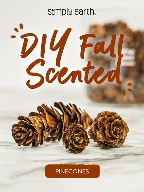 The holidays are a great time to bring the family together, but sometimes it can be stressful and expensive. We don't always have enough time or money to do fun activities as a family. 💯 Our DIY Fall Scented Pinecones are easy, fun, and inexpensive to make. This pinecone craft will keep you busy this weekend while you enjoy quality time with your children! 🍂 Recycle Containers, Scented Pine Cones, Coffee Essential Oil, Scented Pinecones, Simply Earth, Bushel Baskets, Diy Scent, Wellness Board, Cinnamon Essential Oil