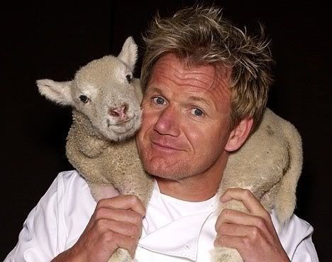 But also looking adorable and innocent with a tiny little lamb. | 33 Things Only Chef Gordon Ramsay Can Get Away With Spinach Stuffing Recipe, Madras Recipes, Chef Ramsey, Chicken Madras, Chef Gordon, Chef Gordon Ramsay, Importance Of Food, Lamb Roast, Hells Kitchen