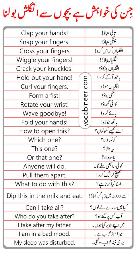 English Sentences For Kids, Short English Sentences, Sentences For Kids, Simple English Sentences, English To Urdu, Basic English Sentences, English Sentence, Words English, Phrases And Sentences