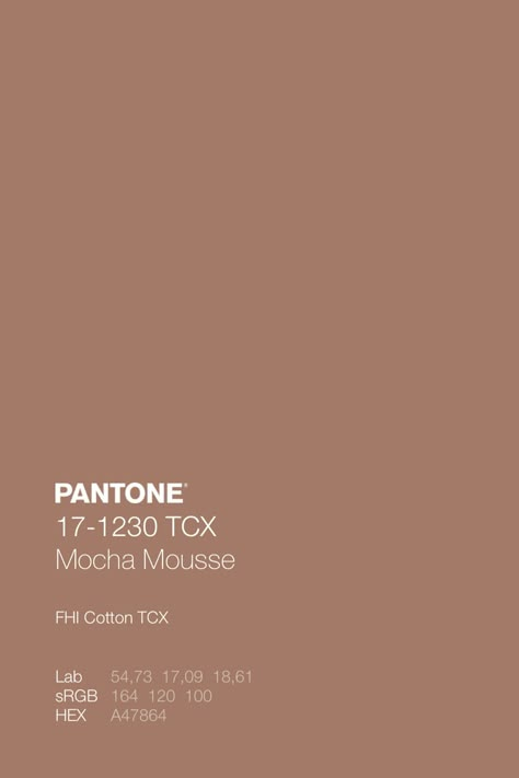 Mocha Mouse Color Pantone, Pantone 17-1230 Mocha Mousse, Color Of The Year 2025, Mocha Pantone, Mocha Mousse Pantone, 2025 Color Of The Year, Pantone Brown, Pantone Color Guide, Brown Pantone