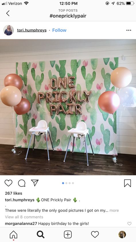 Succulent First Birthday Party, Cactus One Year Old Party, Prickly Pear Birthday Theme, Prickly Pair Birthday Party, Cactus First Birthday Girl, One Prickly Pair Birthday Theme Twins, Twin One Year Birthday Ideas, One Prickly Pair Birthday Theme, One Prickly Pair Birthday