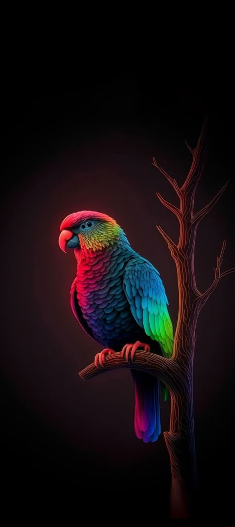 Parrot Wallpaper, Hd Flower Wallpaper, Wallpaper Hd Nature, Iphone Wallpaper Lights, Iphone Wallpaper Stills, Iphone Wallpaper Video, Android Wallpaper Art, Wallpaper For Men, Iphone Wallpaper Hd Nature