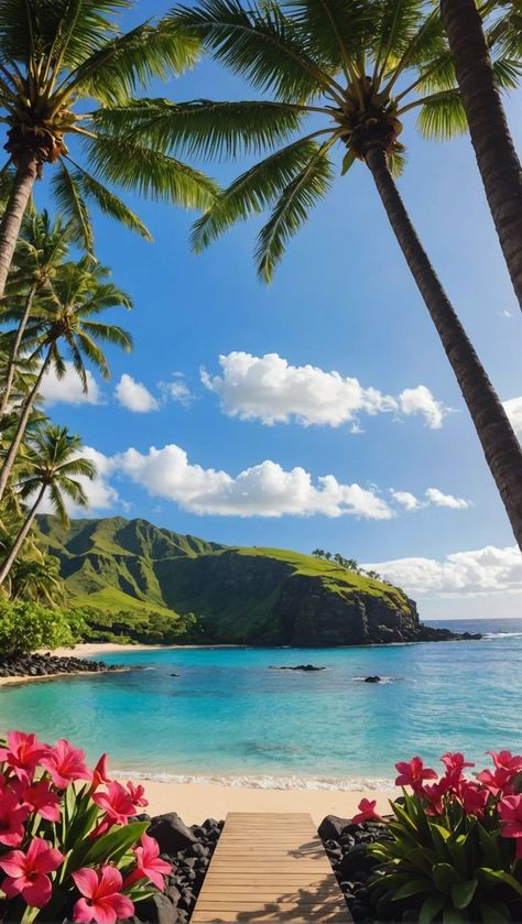 Hawaii Landscape Wallpaper, Beautiful Islands Paradise, Cute Hawaii Pictures, Hawaiian Pictures, Hawaii Background, Pictures Of Hawaii, Hawaii Beach Aesthetic, Hawaiian Wallpaper, Summer In Hawaii