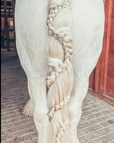 Horse hairstyles Horse Main Ideas, Horse Mane Ideas, Horse Hairstyles, Mane Braids, Horse Mane Braids, Horse Braids, Horse Hair Braiding, Unusual Horse, Horse Braiding