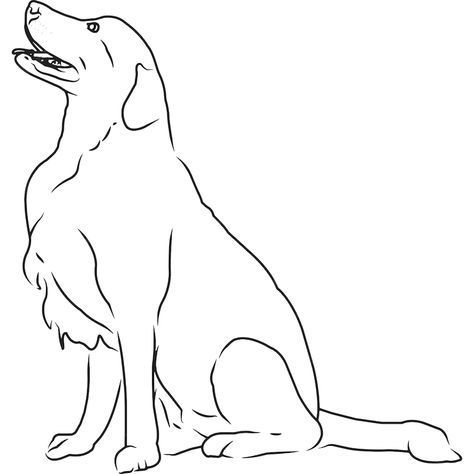 Golden Retriever Sketch, Golden Retriever Outline, Retriever Drawing, Line Drawing Simple, Golden Retriever Drawing, Dog And Cat Art, Dog Face Drawing, Engraving Designs, Journaling Supplies