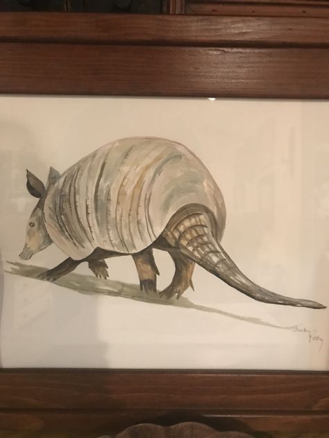 Armadillo Painting, Wildlife Photography, Animal Crossing, Handmade Crafts, Painting Ideas, Paintings, Fine Art, Animals, Art