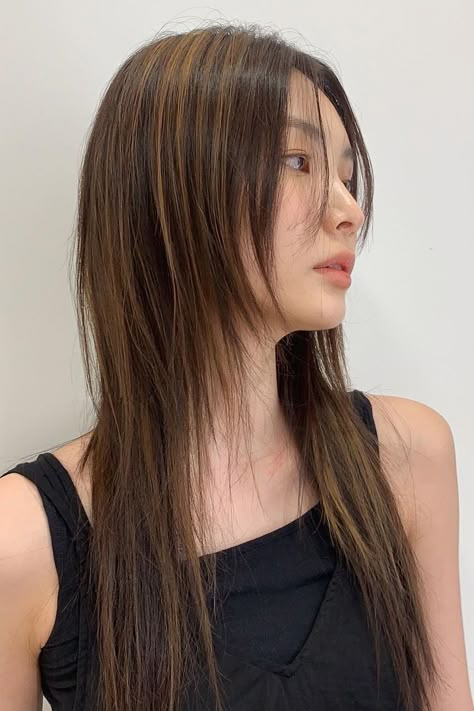 Korean Hair Color 2023, Straight Hush Cut, Long Shag Cut Straight Hair, Wolf Layers Haircut, Wolf Cut Hair Long Straight, Long Wolf Cut Straight Hair, Hush Layered Cut, Long Hush Haircut, 3 Layered Haircut