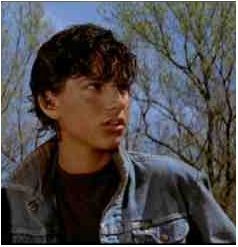 Ralph Macchio  Outsiders.  Karate Kid.  I'm not ashamed to admit. Ponyboy And Johnny Matching Pfp, Johnny Cade The Outsiders, Outsiders Johnny, The Outsiders Johnny, Outsiders Ponyboy, Breakfast Club Movie, Ralph Macchio The Outsiders, Cobra Kia, Outsiders Movie