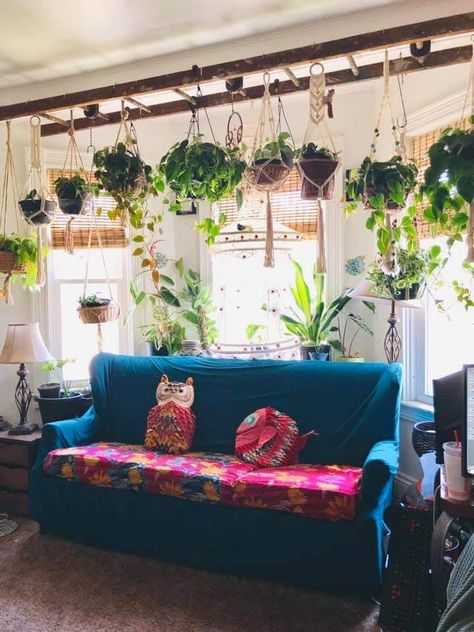 Plants On The Wall, Lots Of Plants, Plants Hanging, Hanging Plants Indoor, Plant Room, Dekorasi Kamar Tidur, Plant Decor Indoor, House Plants Decor, Room With Plants