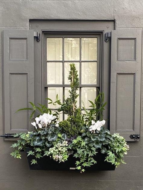 Wood Window Box Planter, Outside Window Flower Boxes, Window Box Winter, Evergreen Window Boxes, Winter Flower Boxes, Winter Window Boxes, Rustic Front Porch, Diy Front Porch Christmas Decor, Sacred Garden