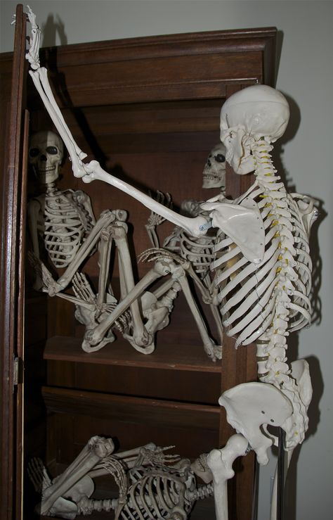 "There is something about a closet that makes a skeleton terribly restless." Wilson Mizner Skeleton Images, Skeleton Memes, Skeleton Pics, Halloween Comics, Silly Skeleton, Skeletons In The Closet, Cool Skeleton, Funny Skeleton, Spooky Scary