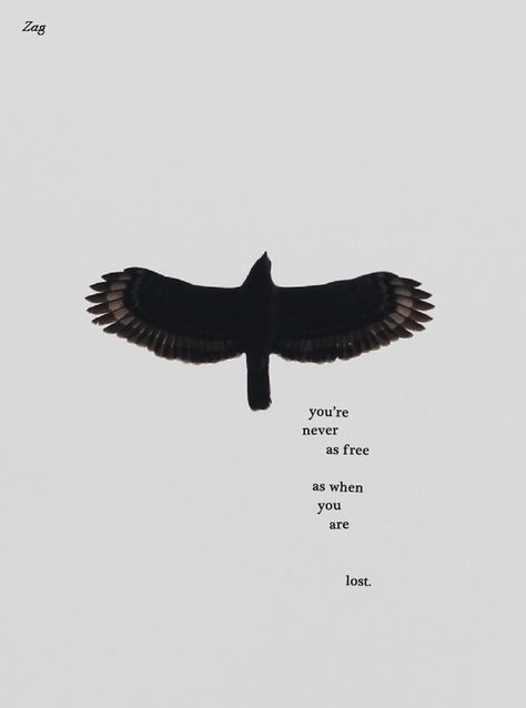 You're never as free as when you are lost. A Quote, Poetry Quotes, Black Bird, Beautiful Words, Inspire Me, Inspirational Words, Words Quotes, A Black, Art Quotes