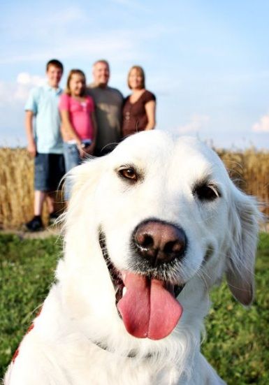 I wished I would have thought of this for Taylor before she passed away.  Although tough to do as she never left my side even until the end. Weird Trees, Photos With Dog, Foto Tips, Family Posing, Shooting Photo, Cute Family, Poses For Pictures, Dog Photos, 귀여운 동물