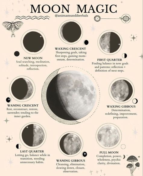 Lunar Birth Phase, Moon Cycle Drawing, New Moon Illustration, Witchcraft Journal, Lunar Witch, Lunar Magic, The Phases Of The Moon, Moon Phase Calendar, Moon Rituals