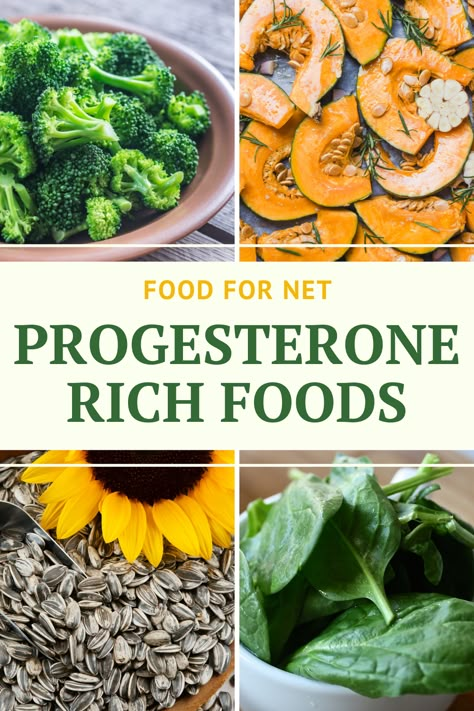 Progesterone Foods, Increase Progesterone Naturally, Increase Progesterone, Progesterone Cream, Seed Cycling, Low Estrogen Symptoms, Progesterone Levels, Cycle Syncing, Healthy Hormones