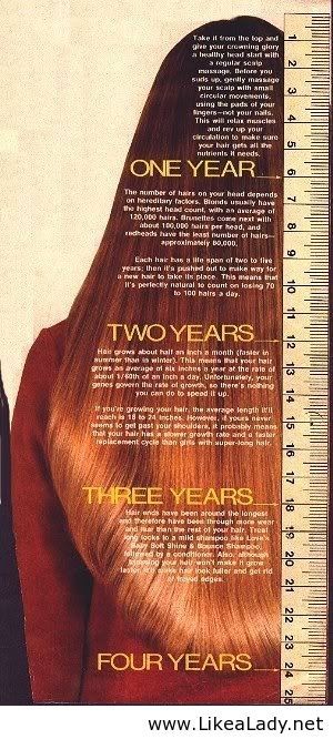 air growth timeline Hair Growth Charts, Prediabetic Diet, Hair Length Chart, 4c Natural, Hair Growth Tips, Hair Journey, Hair Stuff, Great Hair, Grow Hair