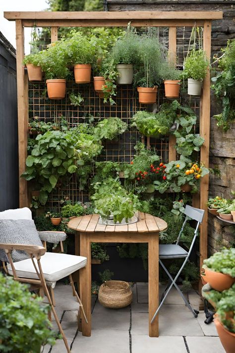 Flowers On Terrace, Small Garden In Apartment, Plants Outside Front Door Apartment, Garden Rental Ideas, Small Diy Projects For The Home, Terrace Gardening Ideas, Flower Garden Small Space, Small Patio Area Ideas, Backyard Plants Ideas