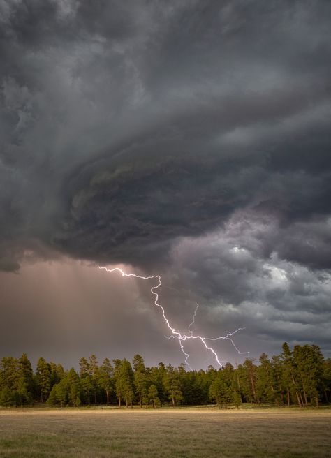 Arizona Summer, Dark Weather, Lightning Photography, Storm Chasing, Riders On The Storm, Beautiful Scenery Photography, Storm Photography, Wild Weather, Scenery Photos