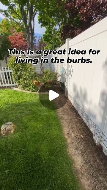 MOHSEN SALEHI, MBA on Instagram: "🐔🐔 This is a great idea for those living in the burbs and want to keep their grass in good shape." Chicken Coop Plans, Backyard Makeover, Chicken Coop, Coop, Plant Stand, How To Plan, Plants, Instagram, Home Decor