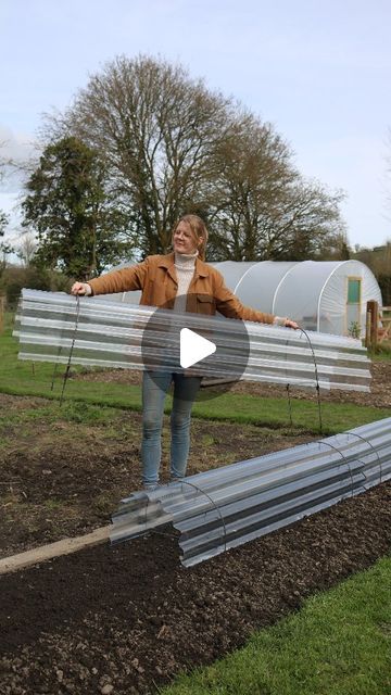 Garden Cloche Ideas, Uk Allotment Ideas, Garden Cloche Diy, Obelisks In The Garden, Enclosed Garden Structures, Parsnips And Carrots, Garden Enclosure Ideas, Garden Cloche, Garden Antiques