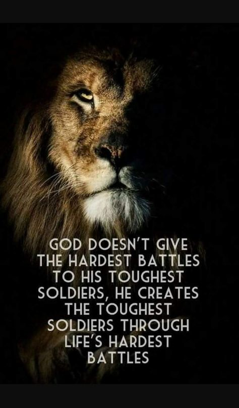 God doesn't give his hardest battles to his toughest soldiers, he creates the toughest soldiers through life's hardest battles. Lion Quotes, Ayat Alkitab, Warrior Quotes, A Lion, Mindfulness Meditation, Inspirational Quotes Motivation, Faith Quotes, Great Quotes, Wisdom Quotes