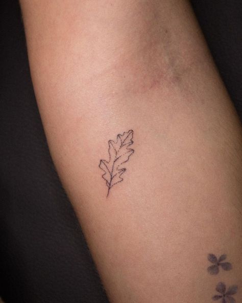 Pin Oak Leaf Tattoo, Oak Tree Leaf Drawing, Tiny Oak Leaf Tattoo, Oak Leaf Tattoo Simple, Oak Tree Leaves Tattoo, Oak Acorn Tattoo, Oak Leaf Tattoo For Women, Tiny Forest Tattoo, Small Maine Tattoo