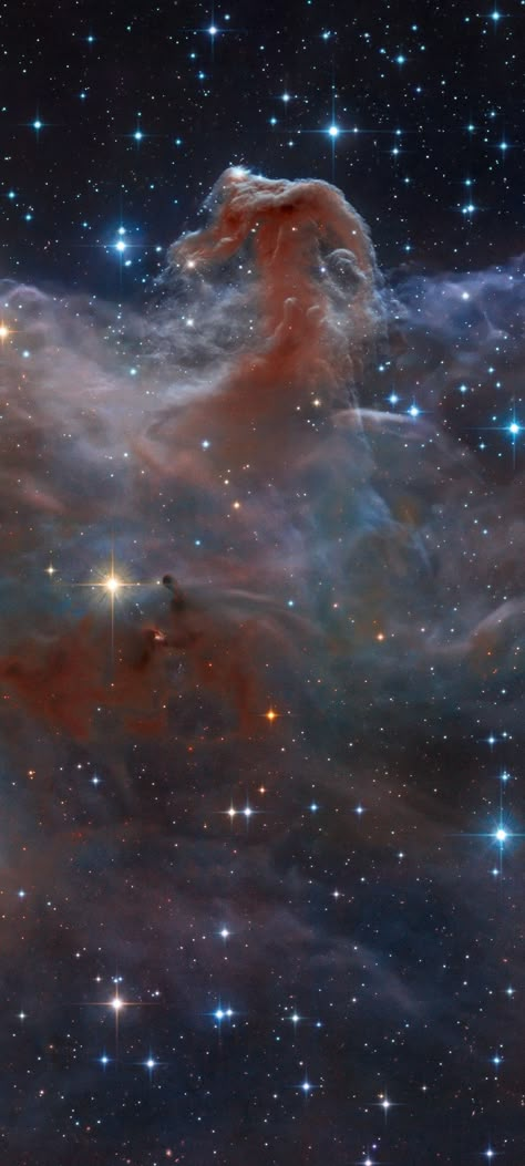 Cosmos Aesthetic, Gcse Sketchbook, Horsehead Nebula, Space Pics, Nasa Wallpaper, Nebula Wallpaper, Interstellar Space, Artwork Aesthetic, Astronomy Pictures