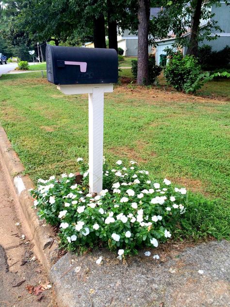 Mail Box Garden, Mailbox Plants, Mailbox Landscape, Mailbox Art, Mailbox Planter, Mailbox Flowers, Mailbox Garden, Mailbox Makeover, Mailbox Landscaping