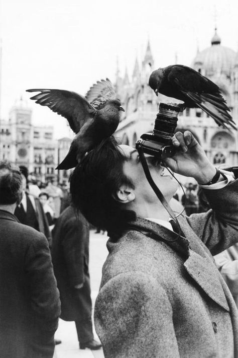 St Marks Square Venice, Beauty Fotografie, Robert Doisneau, Art Photography Portrait, Henri Cartier Bresson, Romy Schneider, Alain Delon, Ansel Adams, Cole Sprouse