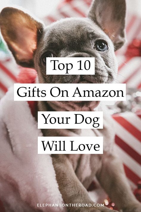 Dog Christmas Present Ideas, Dog Birthday Gift Basket, Dog Birthday Gifts Ideas, Birthday Gifts For Dogs, Dog Christmas Presents Gift Ideas, Christmas Gifts For Dogs Ideas, Dog Gifts For Christmas, Dog Present Ideas, Gift Ideas For Dogs