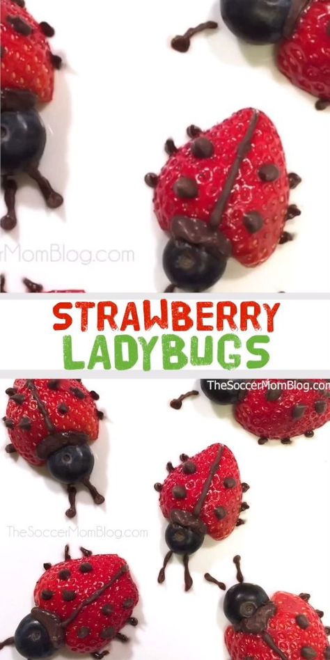 Ladybug Snacks, Bug Snacks, Winter Snacks, Healthy Snack For Kids, Spring Snacks, Fruit And Chocolate, Preschool Cooking, Easy Snacks For Kids, Bug Party