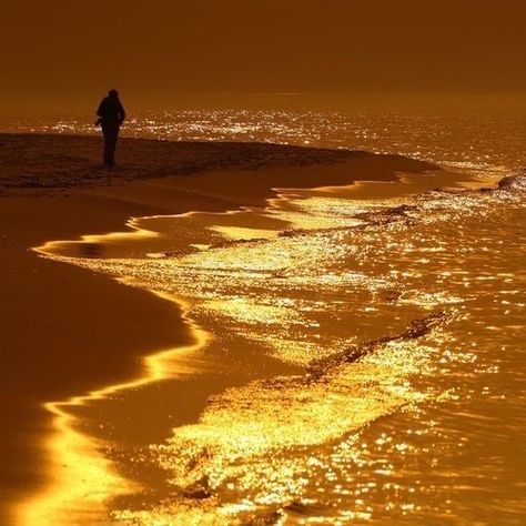 Walking On The Beach, Gold Aesthetic, Orange Aesthetic, Liquid Gold, Yellow Aesthetic, Dark Yellow, Mellow Yellow, Pure Gold, Golden Hour