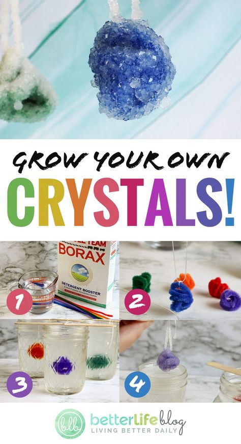 How To Grow Crystals, Borax Crystals Diy, Grow Crystals, Crystals For Kids, Grow Your Own Crystals, Diy Science Projects, Borax Crystals, Apartment Pool, Growing Crystals