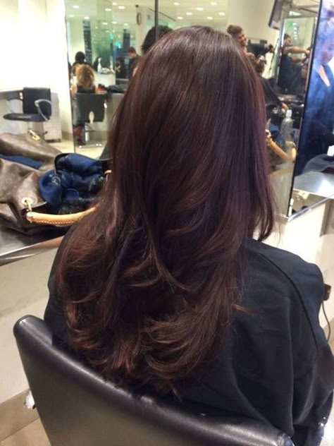 Very Dark Auburn Hair, Dark Brown Hair With Auburn Undertones, Auburn Highlights In Dark Brown Hair, Long Dark Auburn Hair, Layered Hair Dark Brown, Asian Red Hair Balayage, Red Brown Hair Dark, Dark Red Hair With Layers, Dark Red Hair Color With Highlights