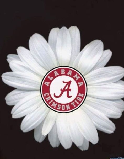 Roll Tide Funny, Alabama Mascot, Alabama Football Shirts, Alabama Crimson Tide Football Wallpaper, Alabama Wallpaper, Alabama Wreaths, Alabama Football Team, Alabama Crimson Tide Logo, Alabama Football Roll Tide