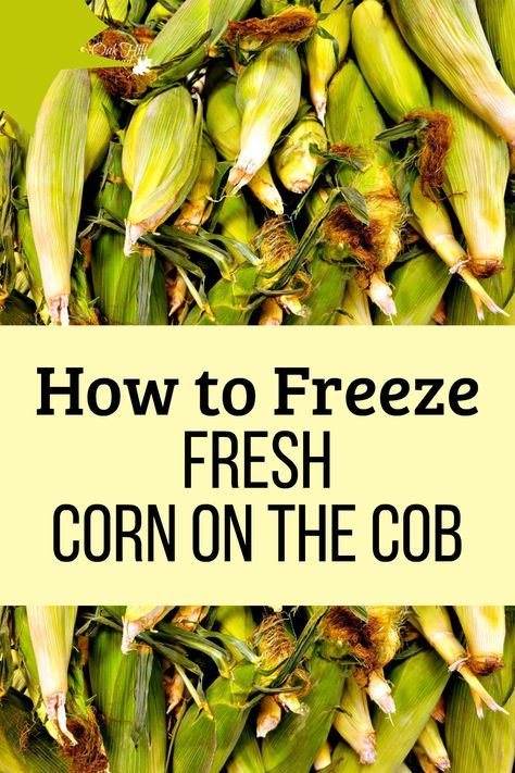 How To Cream Corn Off The Cob, How To Freeze Fresh Sweet Corn, How To Store Fresh Corn On The Cob, How To Preserve Corn On The Cob, Preserving Corn On The Cob, How To Freeze Corn On The Cob Whole, Freezing Sweet Corn On The Cob, Can You Freeze Corn On The Cob, Blanching Corn On The Cob To Freeze