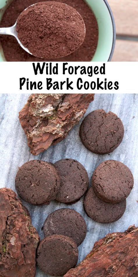 Wild Foraged Pine Bark Cookies (with a Side of Hope...) Pine Bark Recipe, Wild Foraging, Wild Food Foraging, Food Foraging, Pine Bark, Foraging Recipes, Edible Wild Plants, Foraged Food, Herbal Recipes