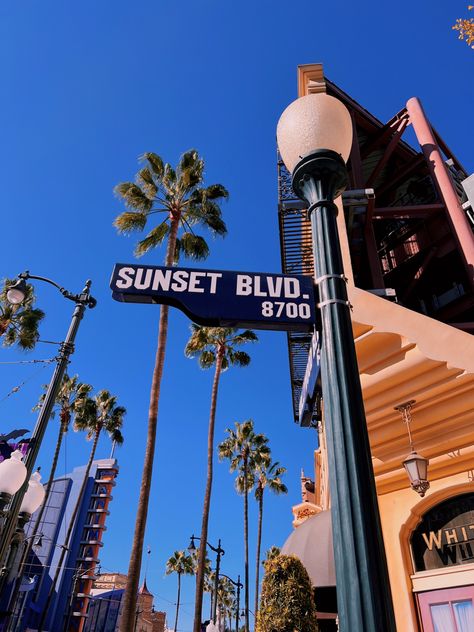 Sunset boulevard | disneyland | california adventure | hollywood | disney | inspo | Los Angeles Sunset Boulevard, Sunset Boulevard Aesthetic, West Hollywood Aesthetic, Disneyland Aesthetic California, Disneyland California Aesthetic, Disneyland Hollywood, 50s Lifestyle, Job Vision Board, Sunset Blvd Los Angeles