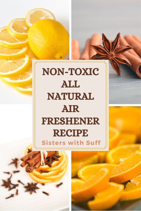 Boiled Air Freshener, Rosemary Air Freshener, Crockpot Air Freshener Recipes, Lemon Air Freshener Diy, Diy Air Freshener With Fabric Softener, Natural Deodorizer For Home, Frugal Challenge, Home Made Air Freshener, Cash Challenge