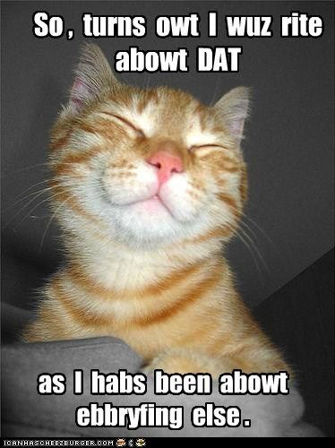 Right...Taa daaa Cat Holidays, Orange Cats, Funny Cat Memes, Ginger Cats, Happy Animals, Cute Kittens, Happy Cat, Beautiful Cats, Crazy Cats