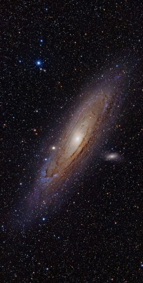 Andromeda Galaxy, Stars