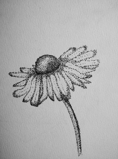 Stippling Stippling Art Flowers, Stipple Flowers, Dotted Art Drawing, Dot Sketching, Stippled Flowers, Stipling Drawings Easy, Stippling Ideas, Stipple Art Easy, Pointillism Flower