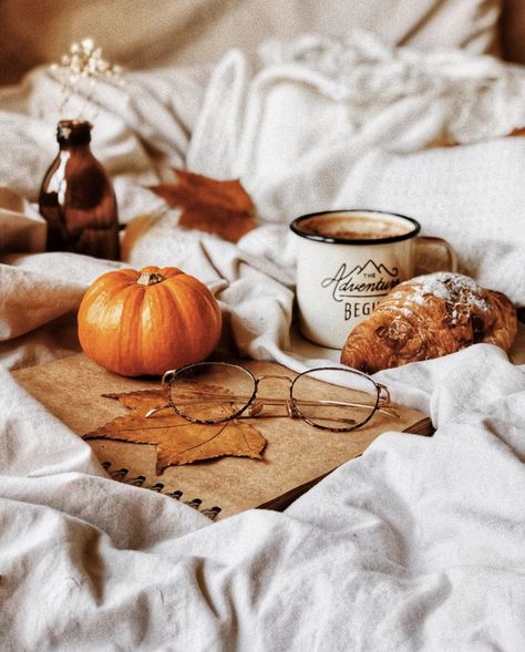 Dusty Books, Autumn Flatlay, Autumn Hygge, Autumn Breakfast, Cozy Nooks, Autumn Magic, Fall Breakfast, Fall Mood, Flat Lay Photography