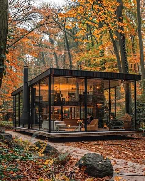 Glass Cabin In Woods, Forest Wood House, Houses In Forests Woods, Winter Glass House, Woods House Forest, Glass Cottage House, Glass House Forest, Glass Houses Architecture, Glass House In The Woods